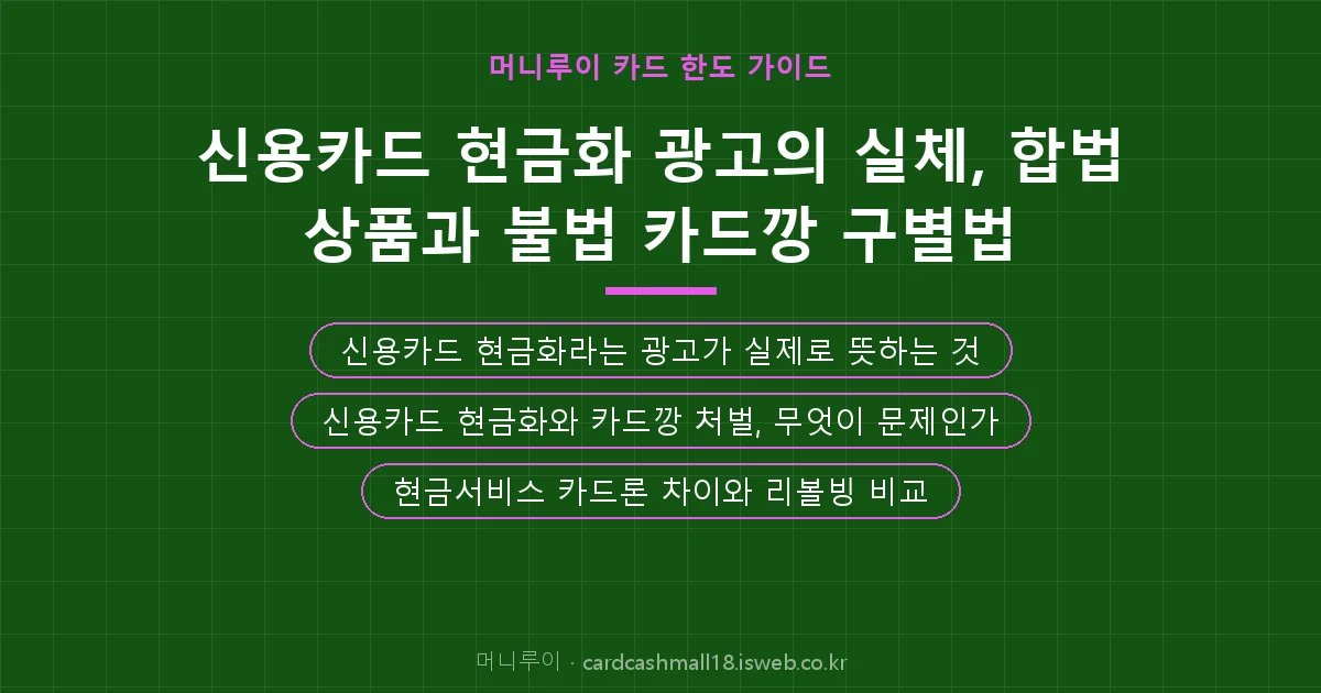 머니루이 핵심 내용을 정리한 요약 카드